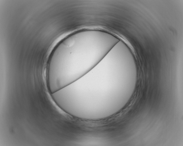 X0000114240959200910091346