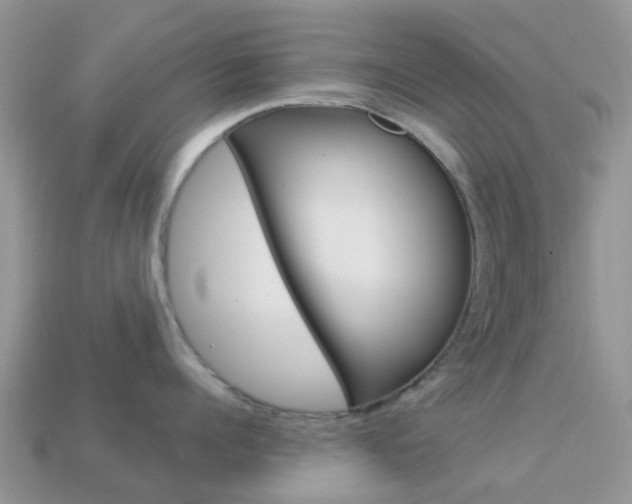 X0000114240960200910091346