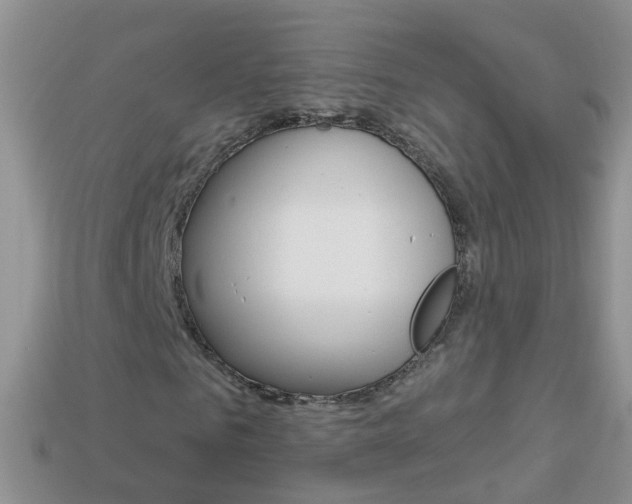 X0000114240961200910091346