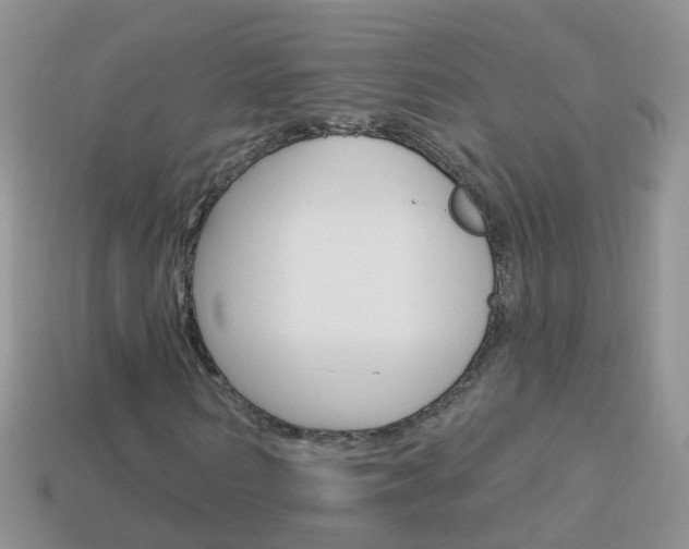 X0000114240962200910091346