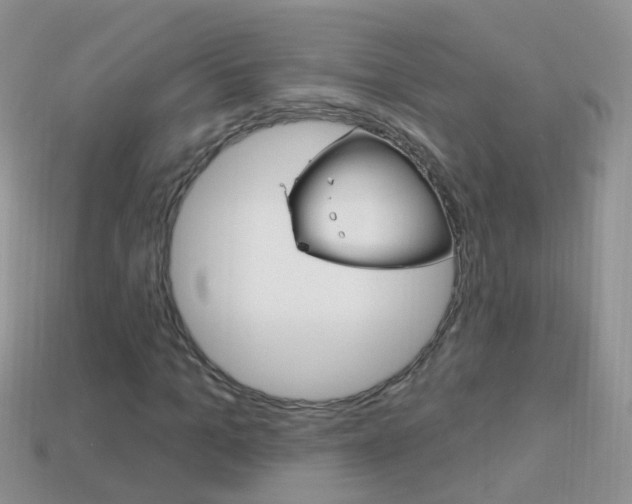 X0000114240965200910091346