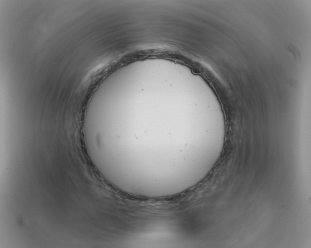 X0000114240967200910091346