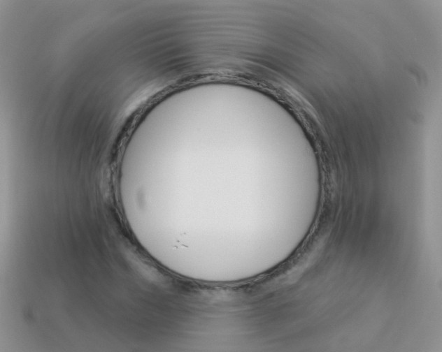 X0000114240970200910091345