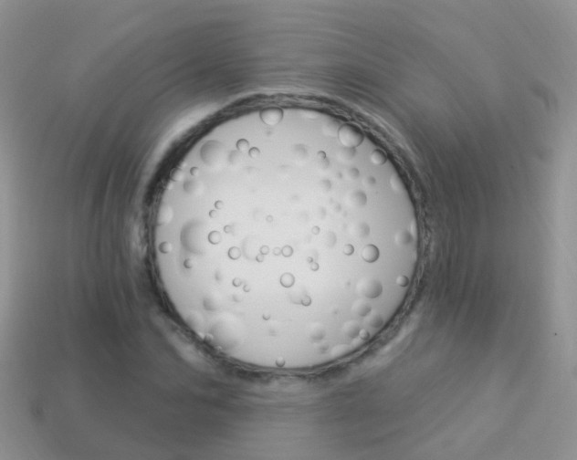 X0000114240974200910091345