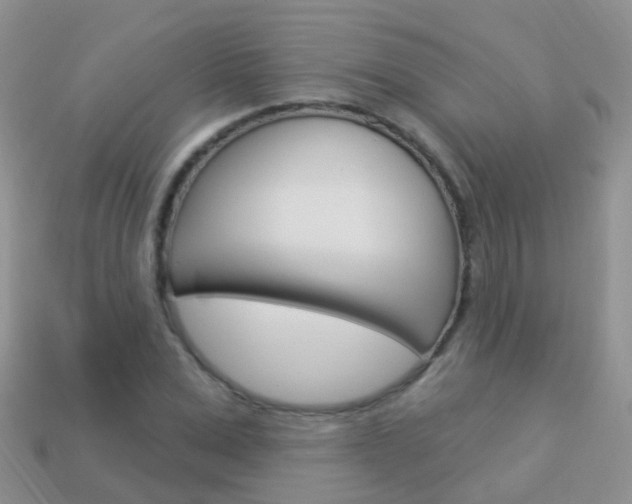X0000114240975200910091345