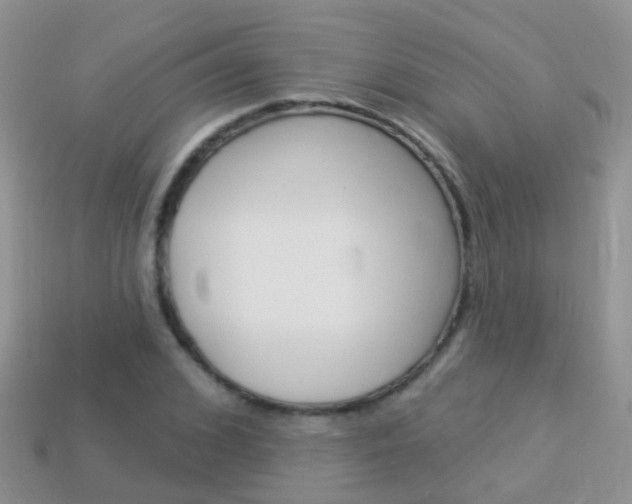 X0000114240976200910091345