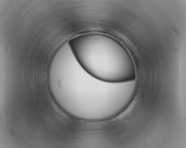 X0000114240977200910091345