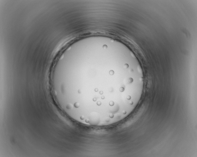 X0000114240978200910091345