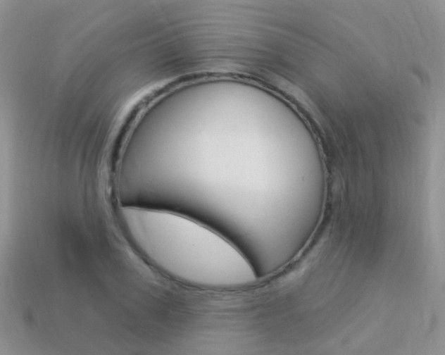 X0000114240979200910091345