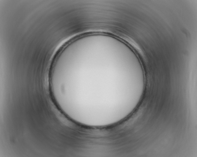X0000114240980200910091345