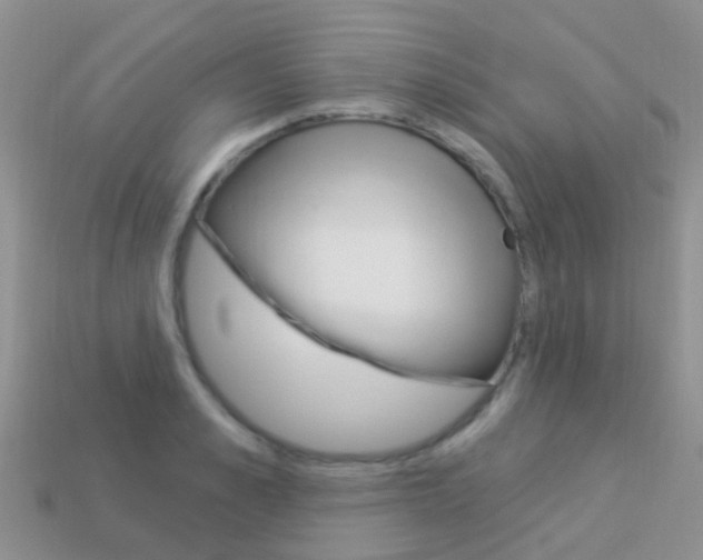 X0000114240989200910091345