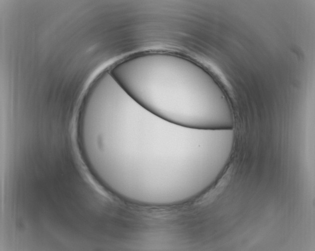 X0000114240991200910091345