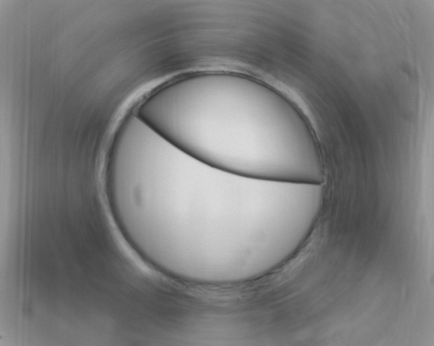 X0000114240995200910091345