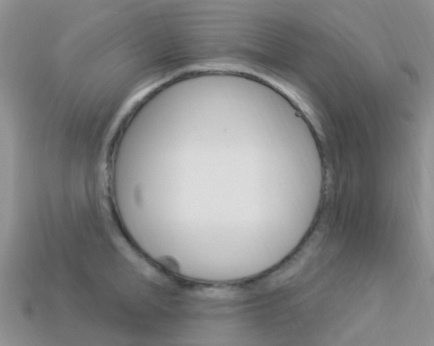 X0000114240998200910091345