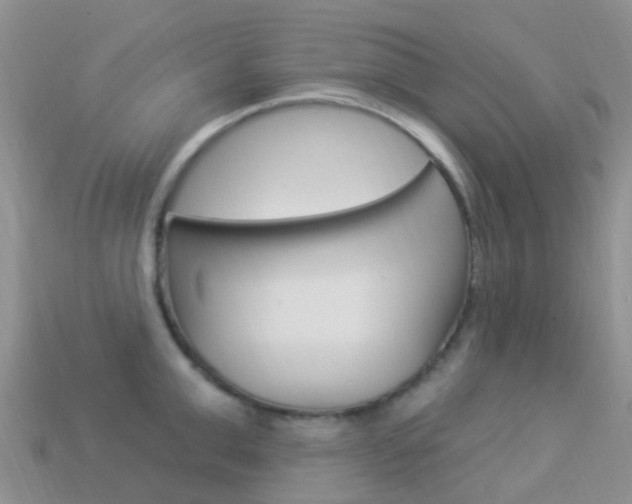 X0000114240999200910091345