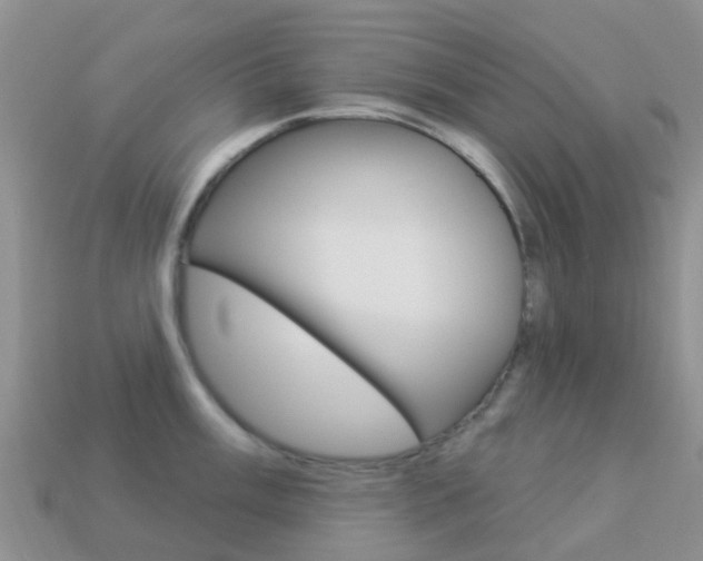 X0000114241003200910091345