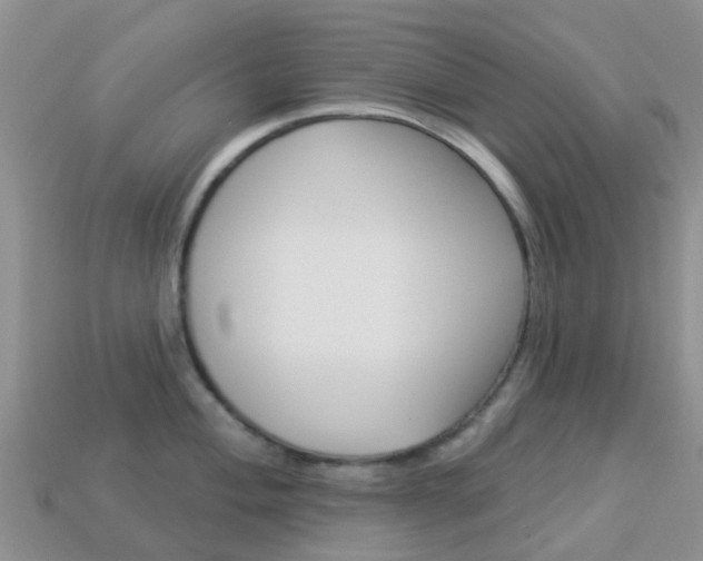 X0000114241004200910091345