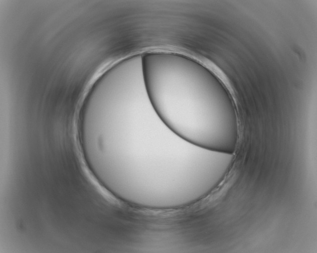 X0000114241005200910091345