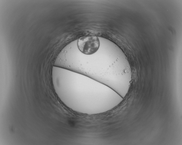 X0000114241009200910091344