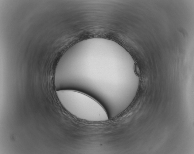 X0000114241010200910091344