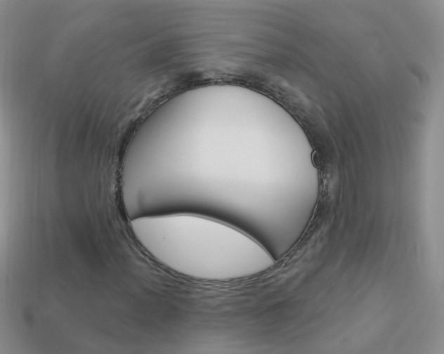X0000114241012200910091344