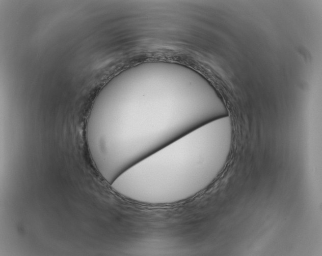 X0000114241013200910091344