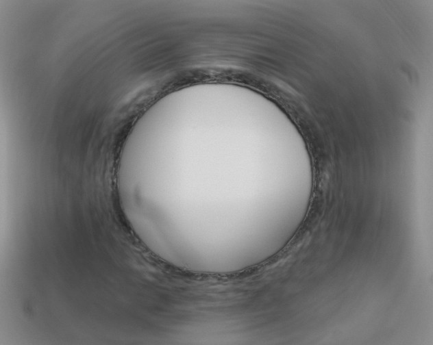 X0000114241014200910091344