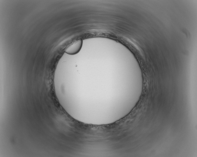 X0000114241015200910091344