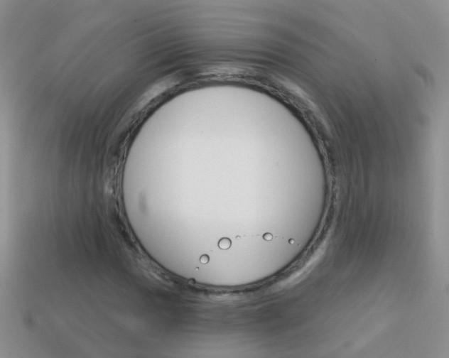 X0000114241017200910091344