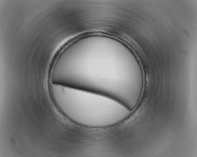 X0000114241020200910091345