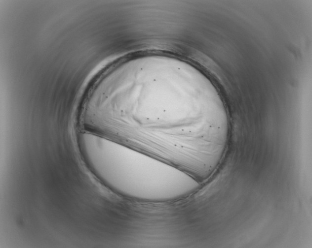 X0000114241024200910091345