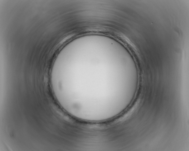 X0000114241025200910091345
