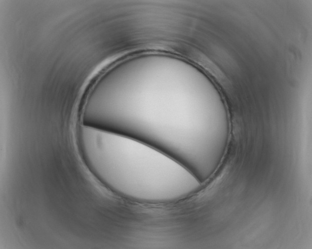 X0000114241028200910091345