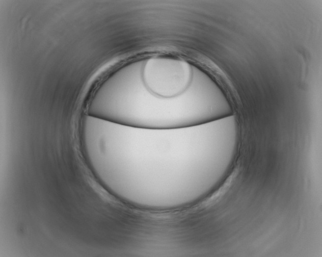X0000114241029200910091345