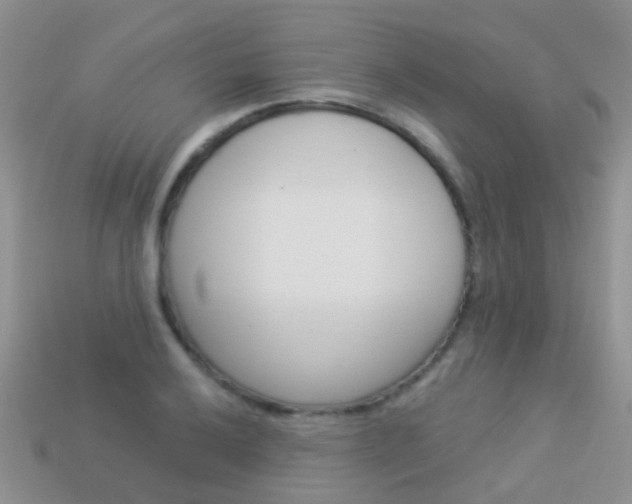 X0000114241032200910091345