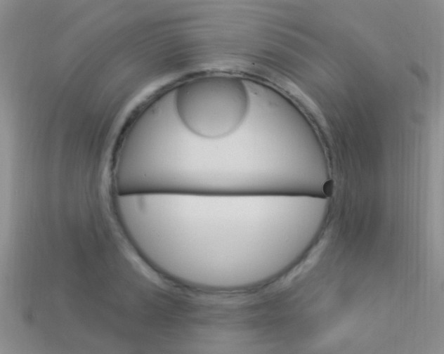 X0000114241037200910091345