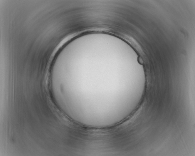 X0000114241044200910091345