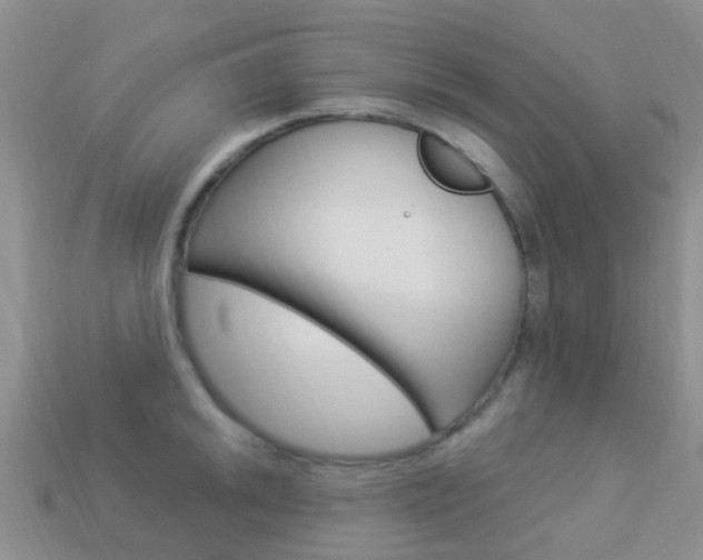 X0000114241046200910091345