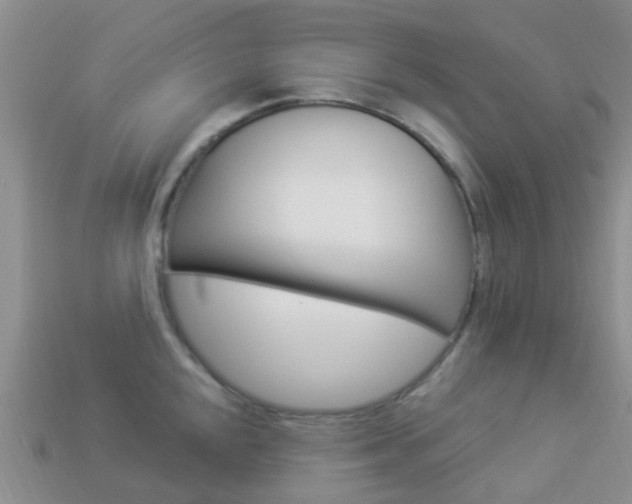X0000114241048200910091345