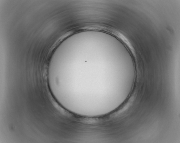X0000114241049200910091345
