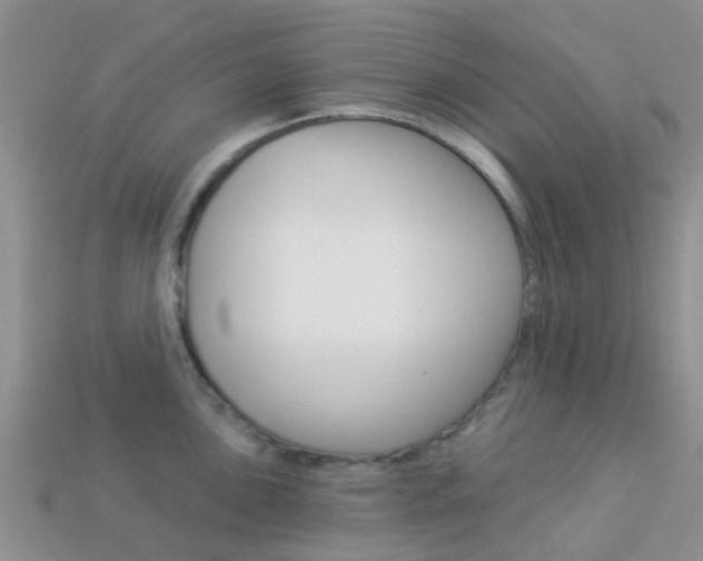 X0000114241051200910091345