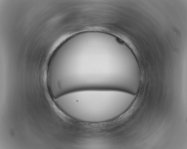 X0000114241054200910091345
