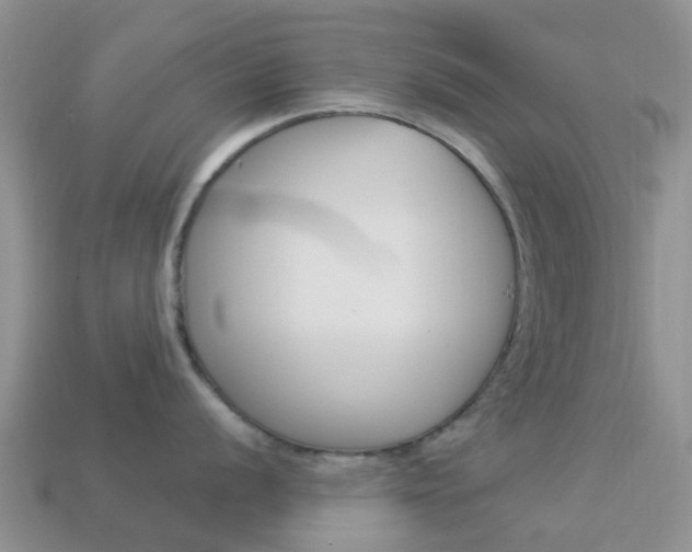 X0000114241056200910091345