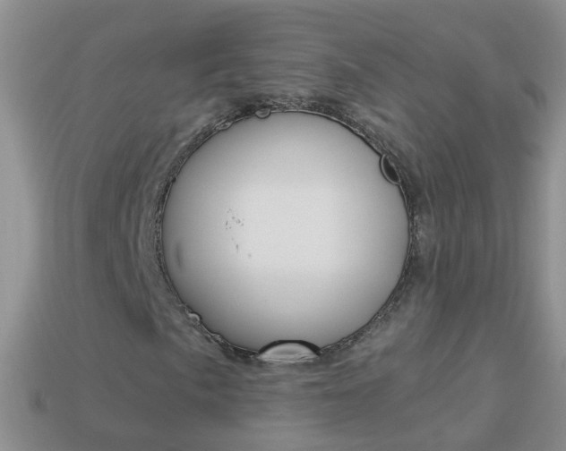 X0000114241057200910091344