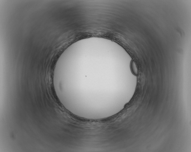 X0000114241058200910091344