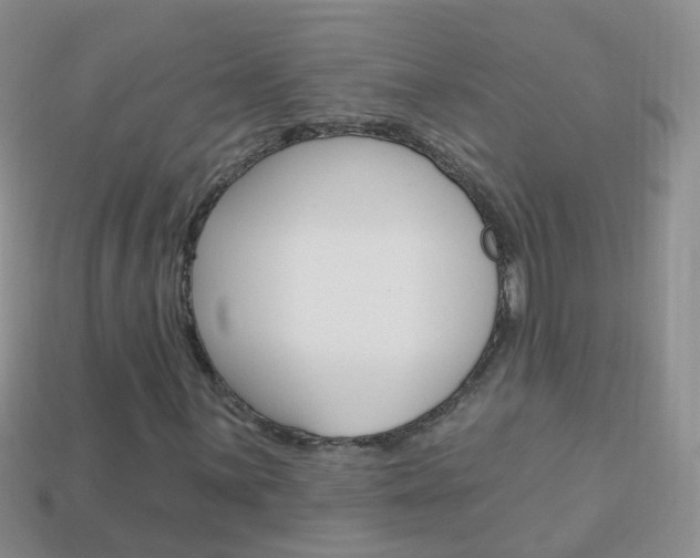 X0000114241059200910091344