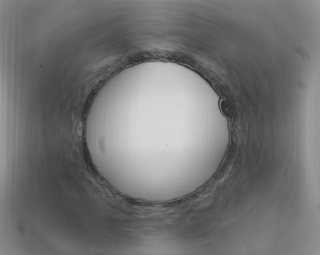 X0000114241061200910091344