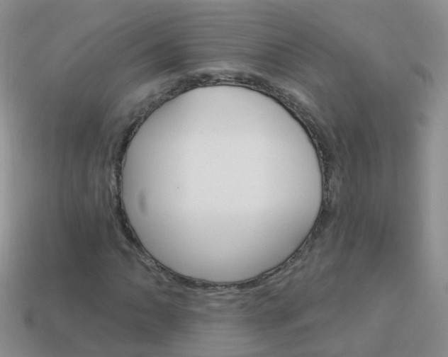 X0000114241062200910091344