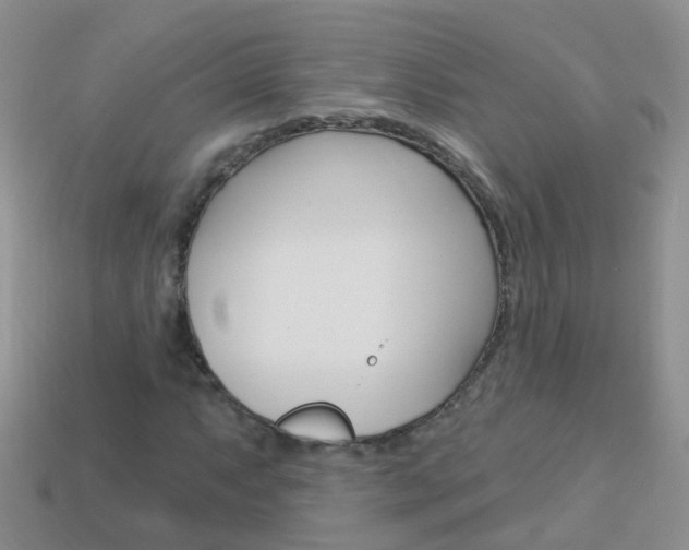 X0000114241063200910091344