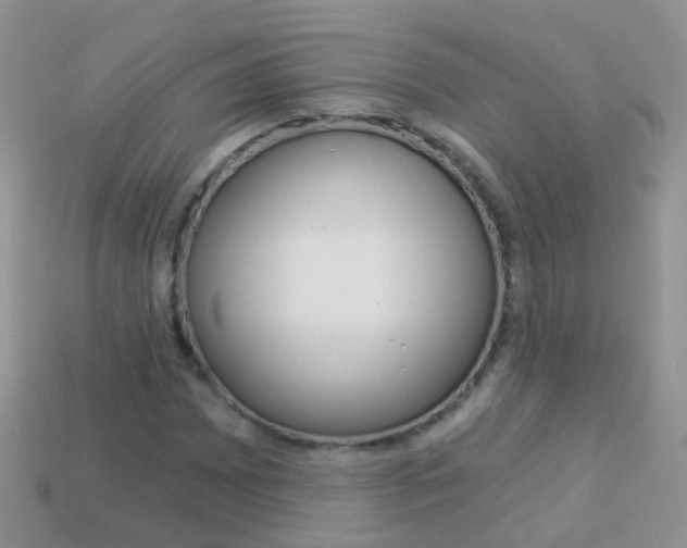 X0000114241065200910091344